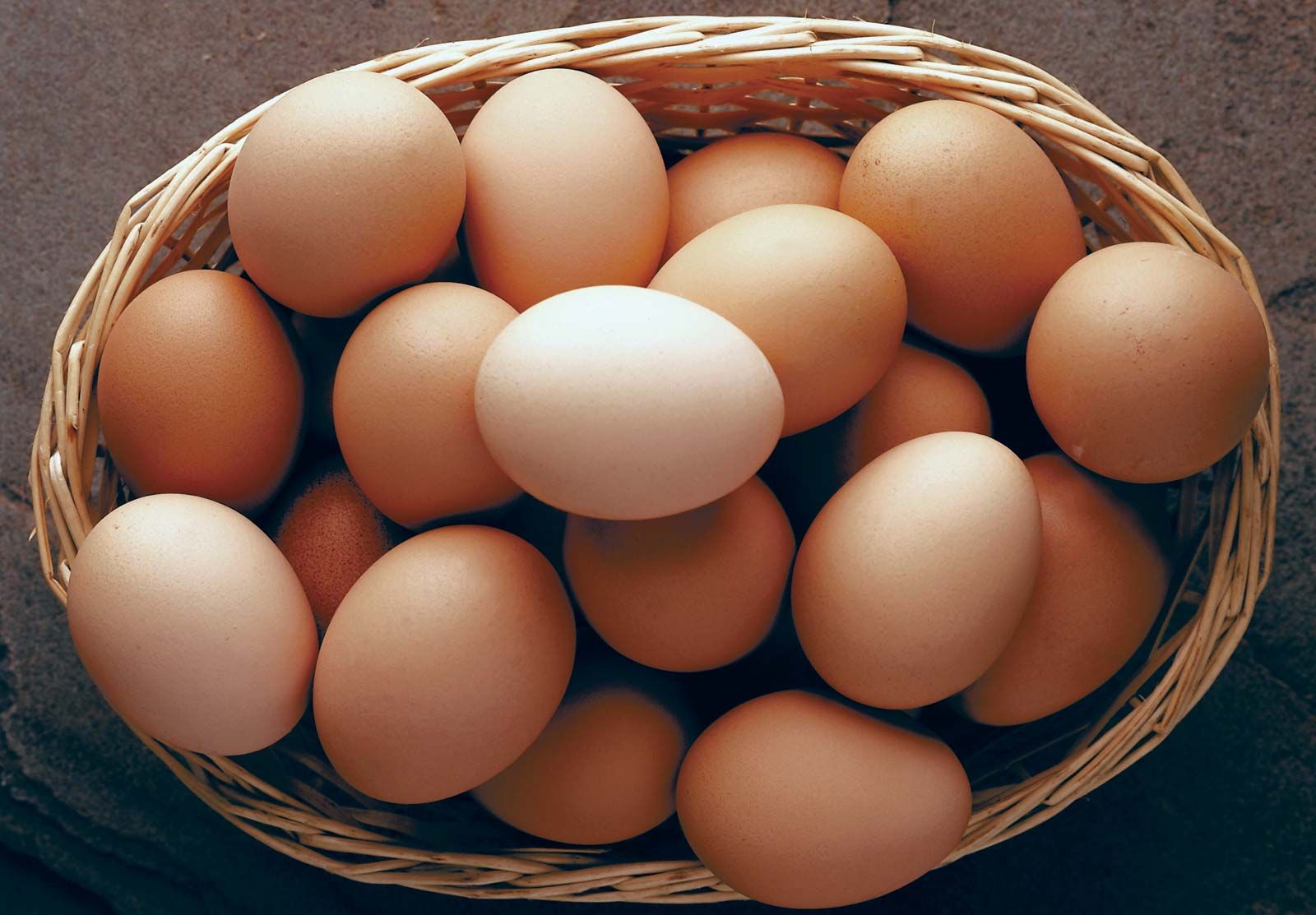 High-Quality Egg Trading