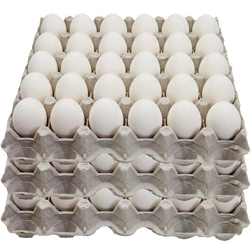 White Eggs